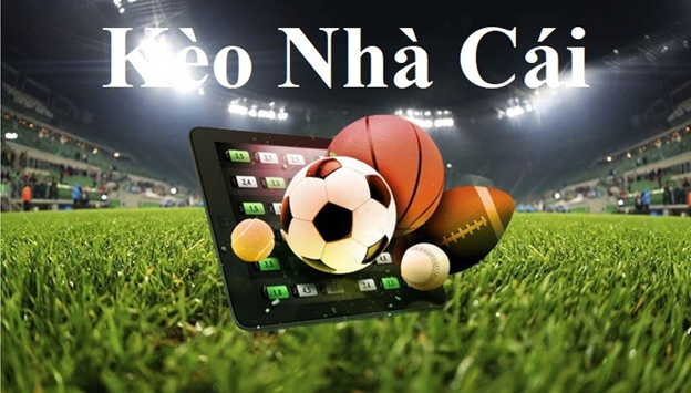 Trải Nghiệm Cá Cược Đỉnh Cao Tại 8KBET： Hướng Dẫn Chi Tiết Cho Người Mới Bắt Đầu